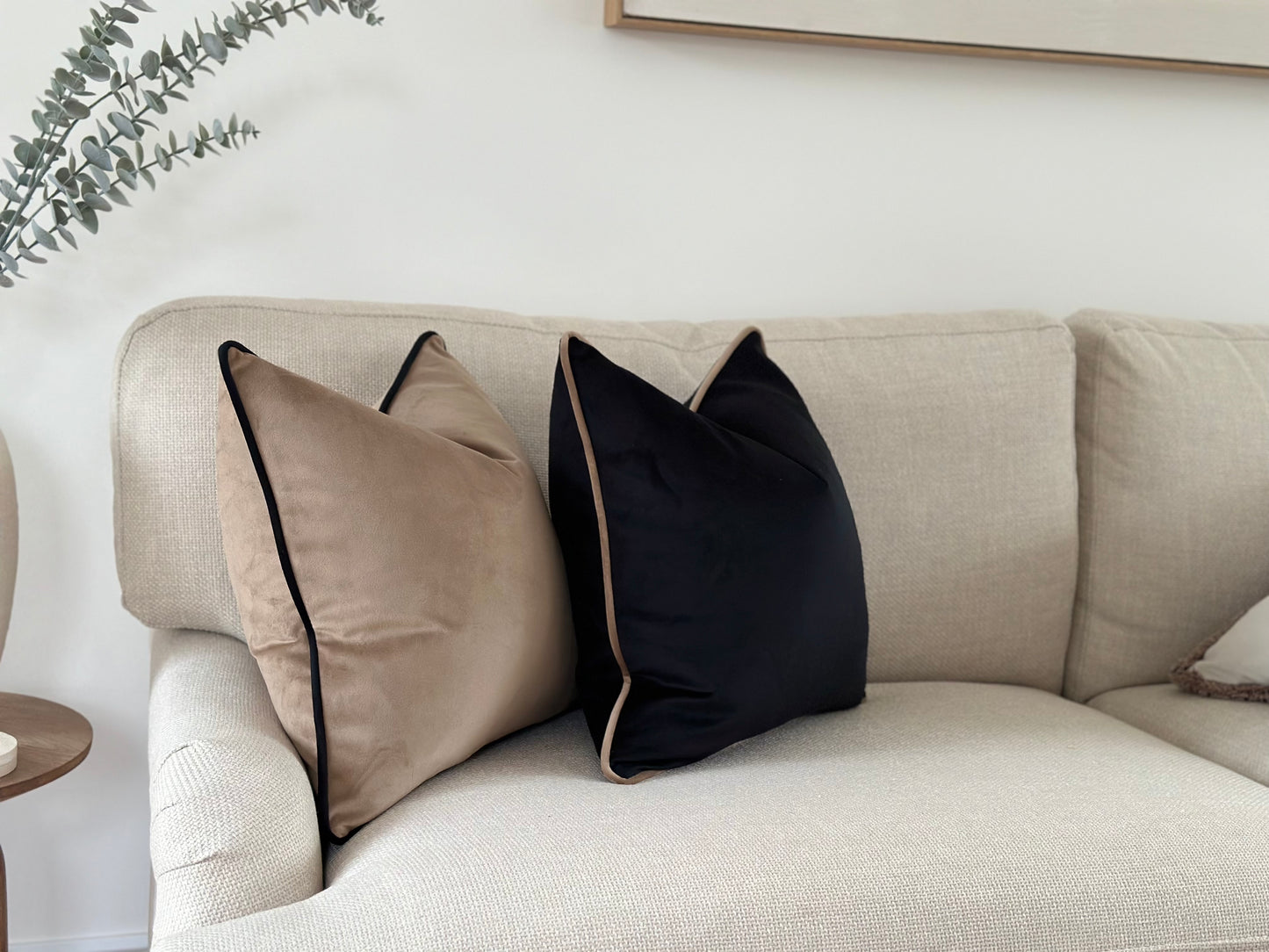 Luxury velvet pillows
